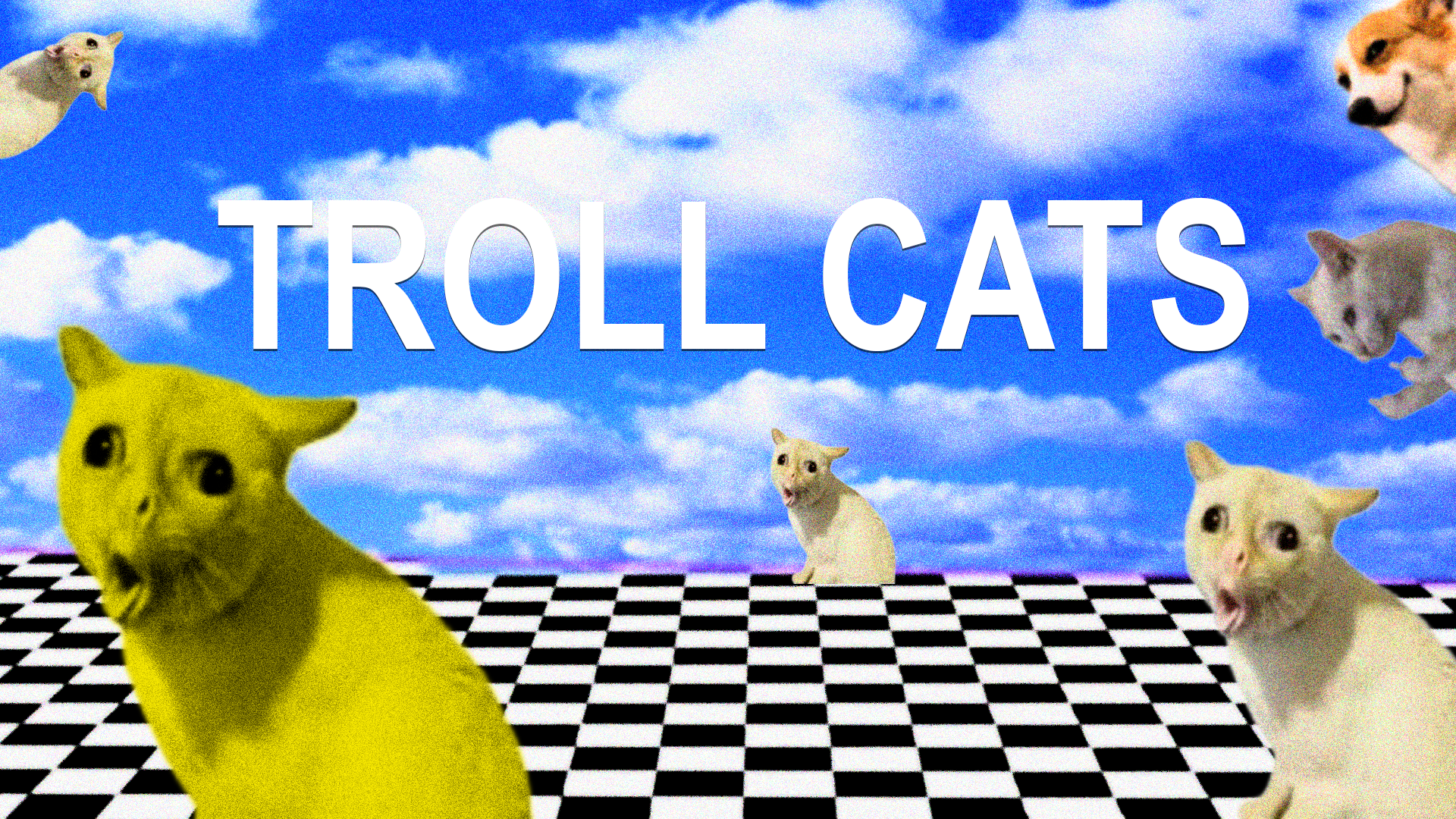 Skonk Cats Landing Image